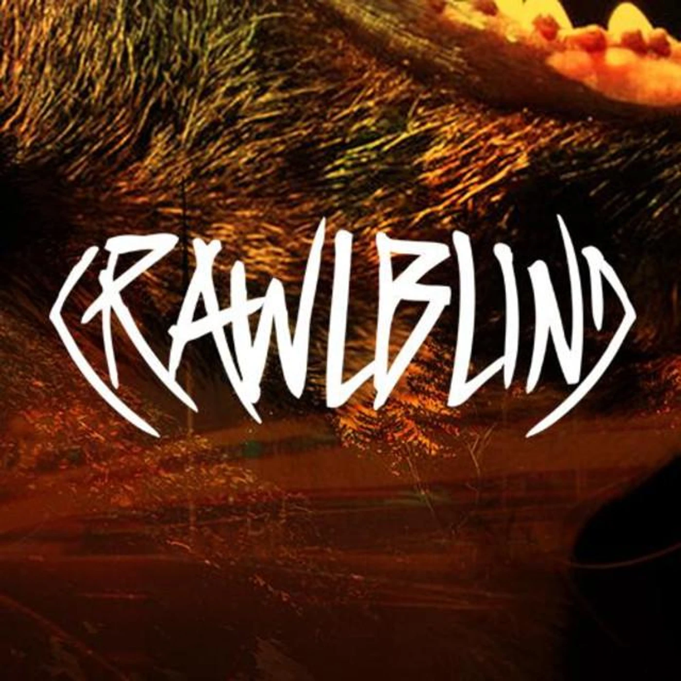 CrawlBlind