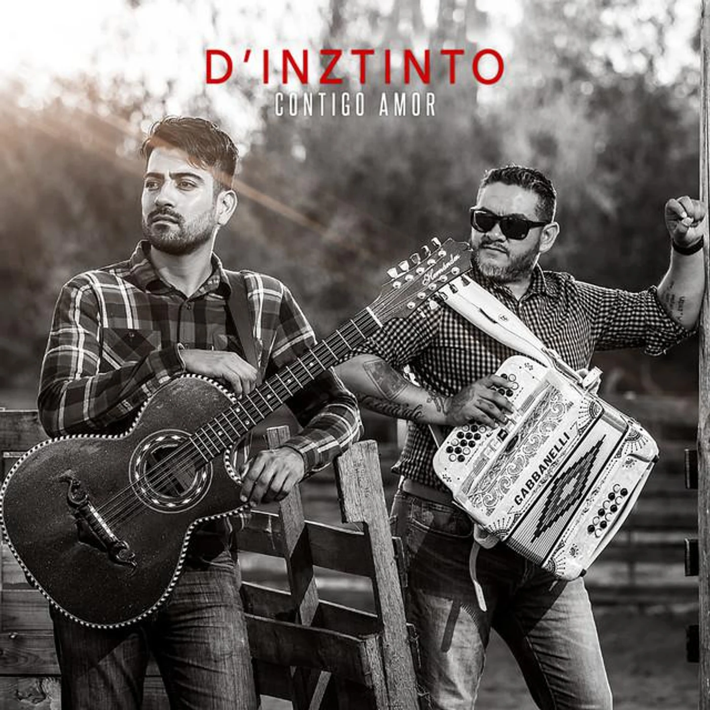 D'inztinto