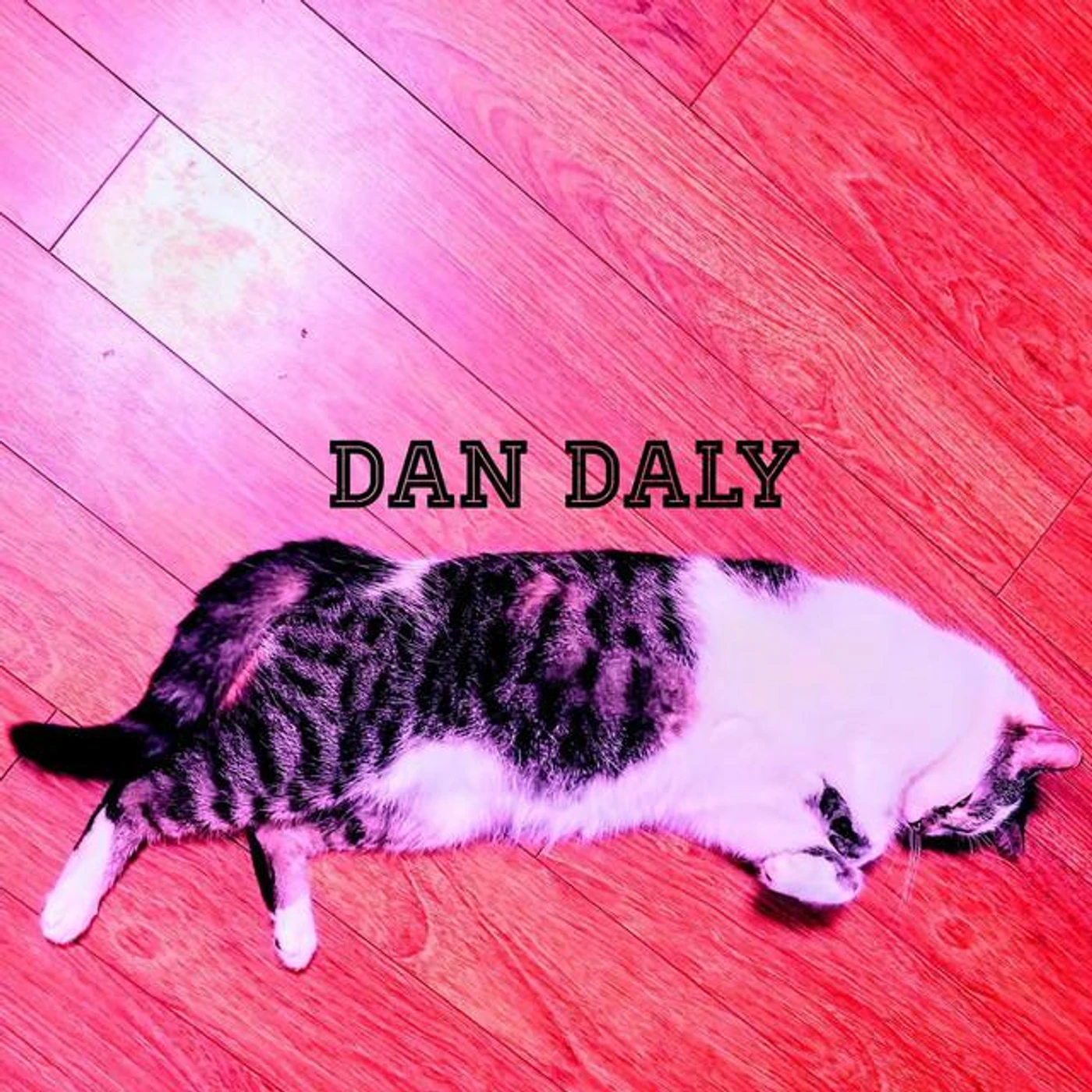 Dan Daly