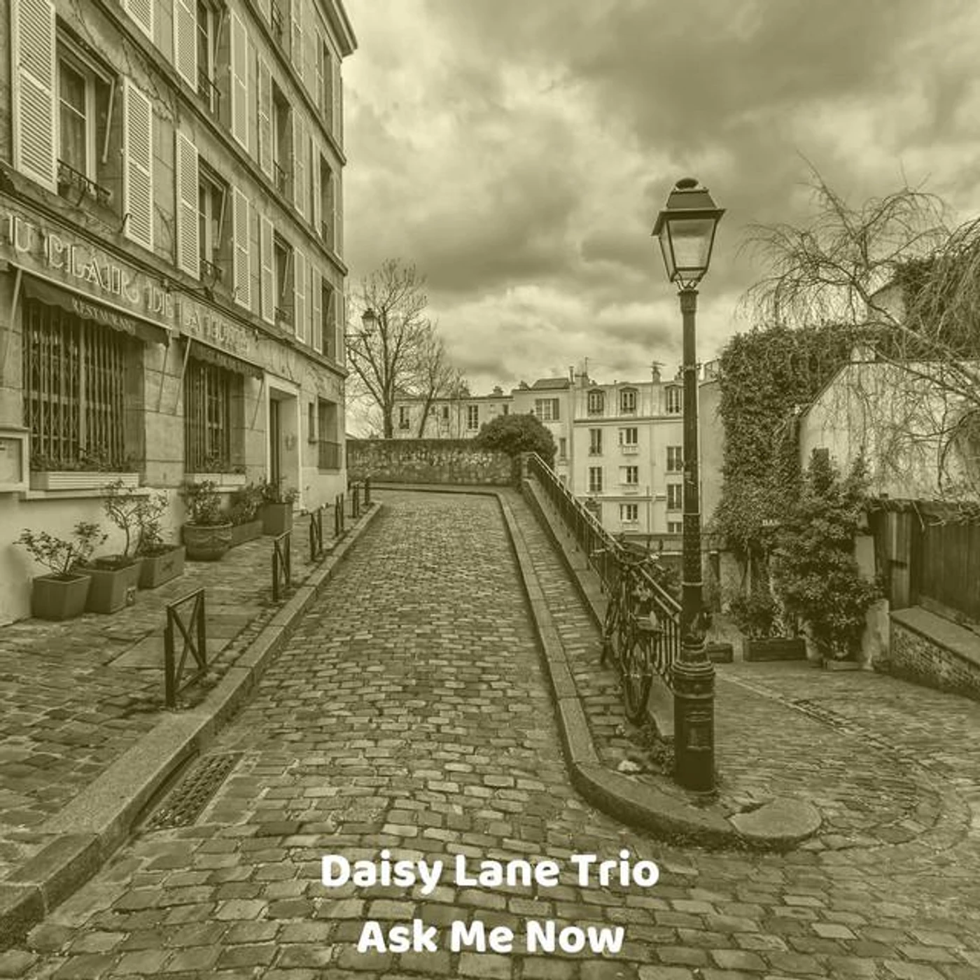 Daisy Lane Trio