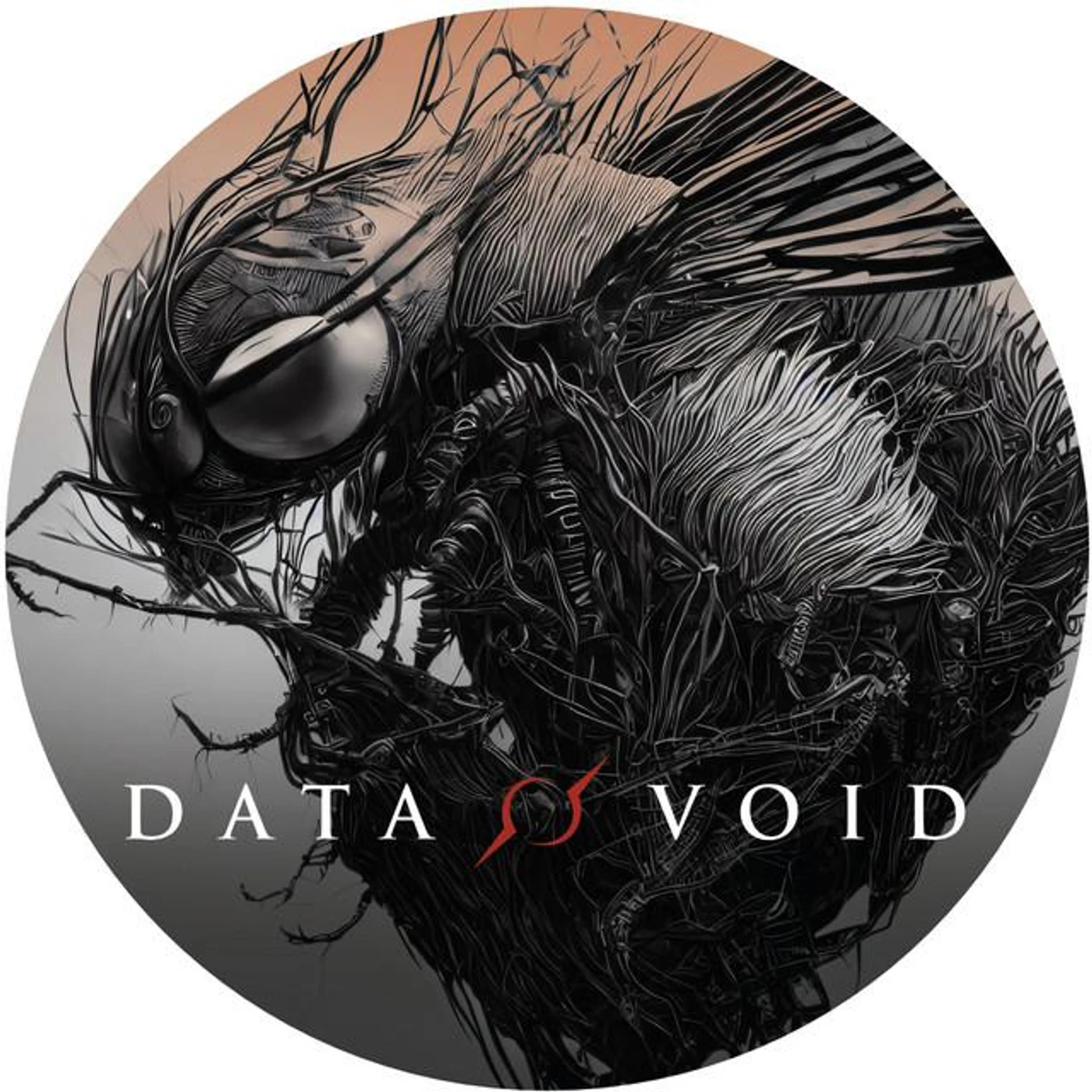 Data Void
