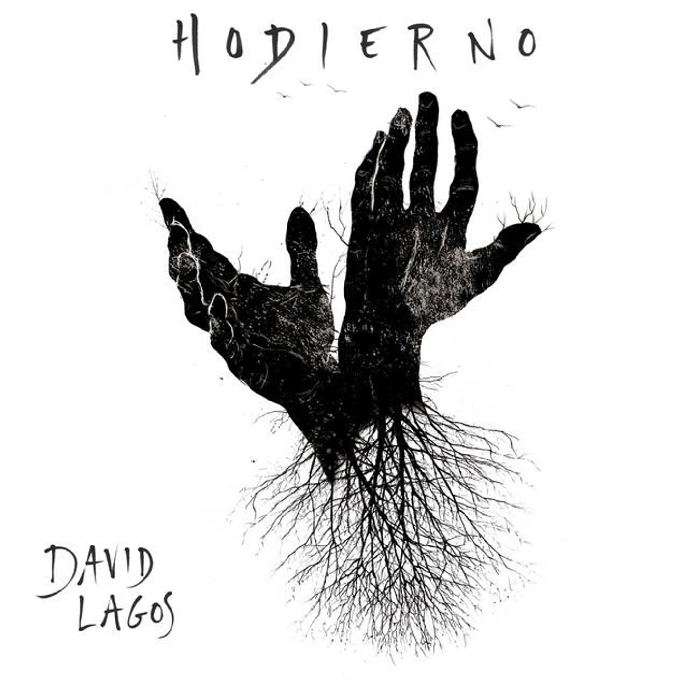 David Lagos