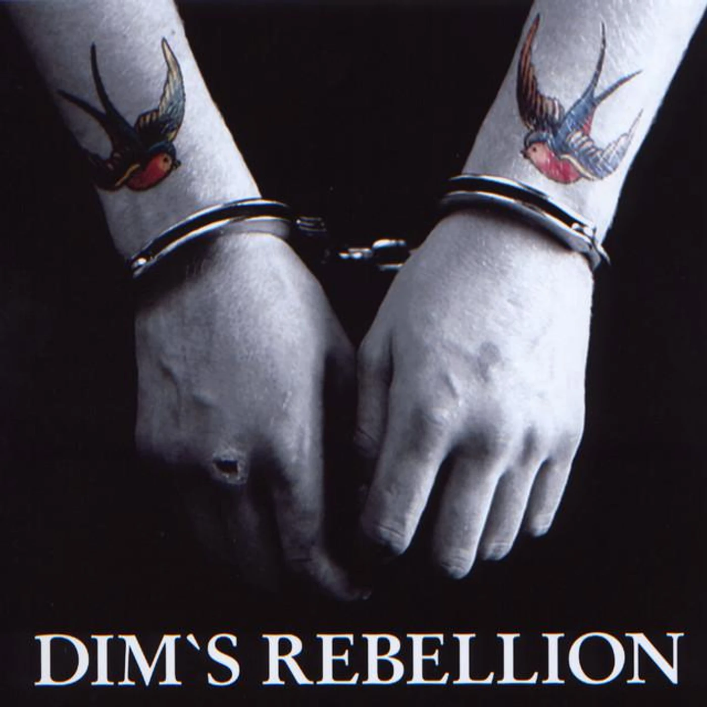 Dim's Rebellion