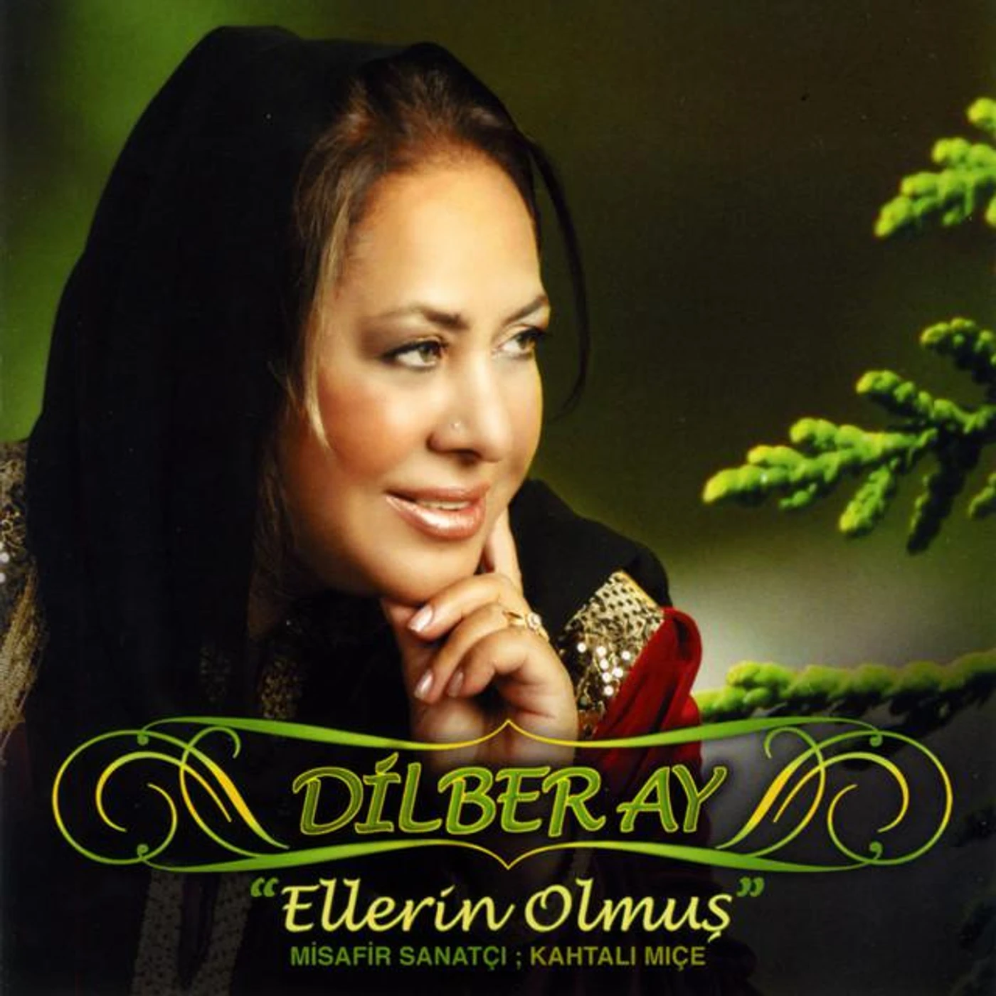 Dilber Ay