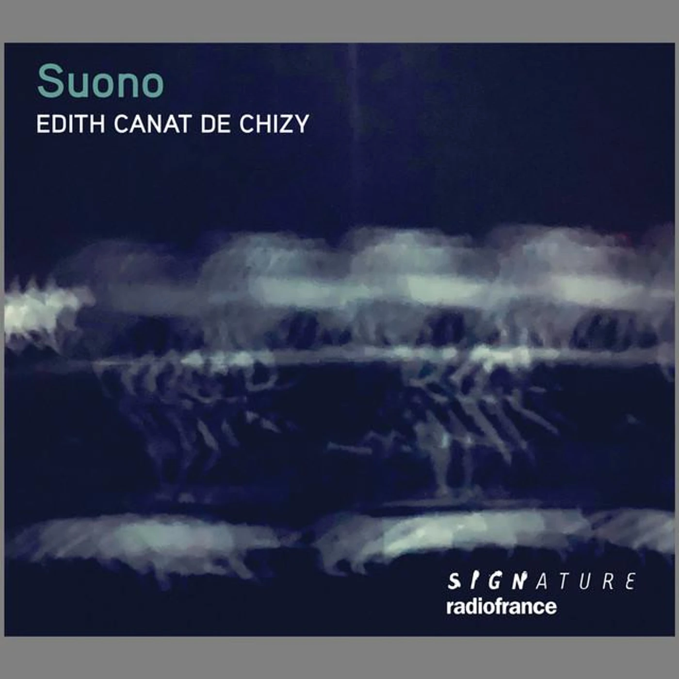 Édith Canat de Chizy