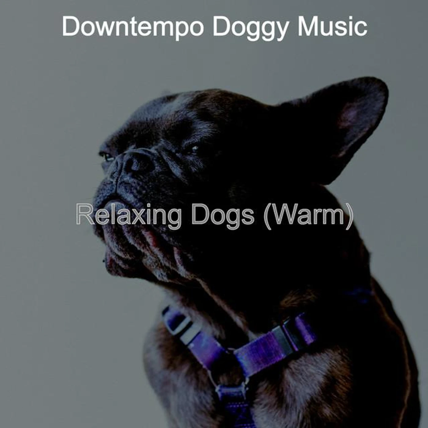 Downtempo Doggy Music