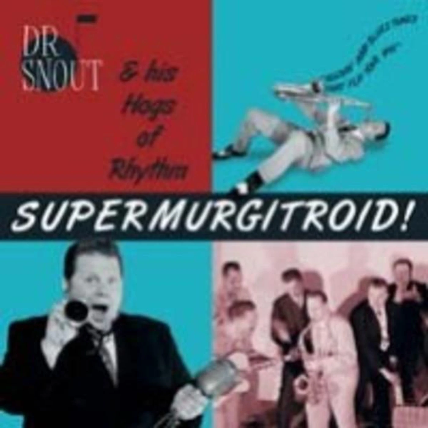 Dr. Snout & His Hogs Of Rhythm