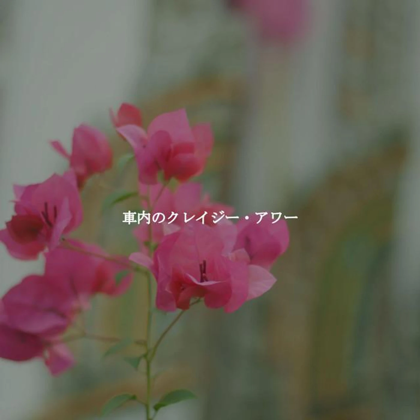 Elevator Music Project