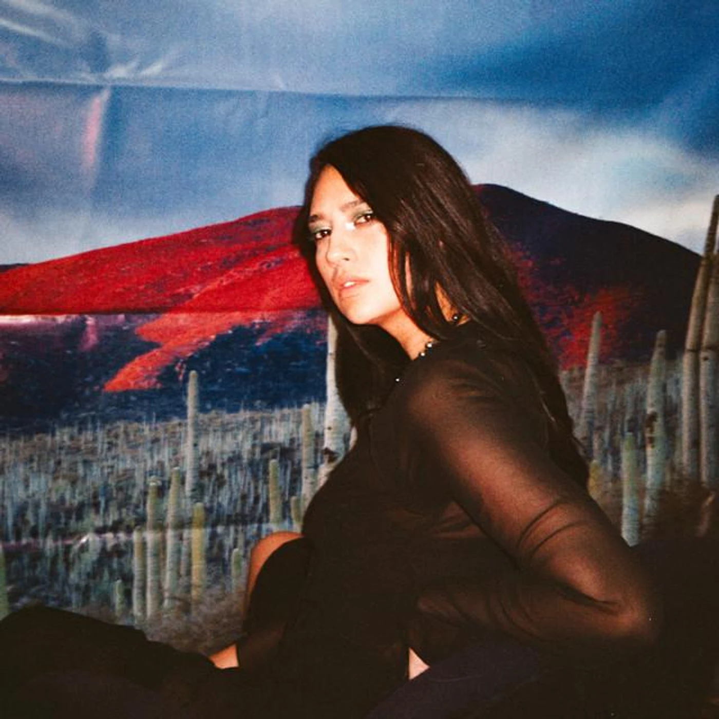 Ella Contra el Tigre