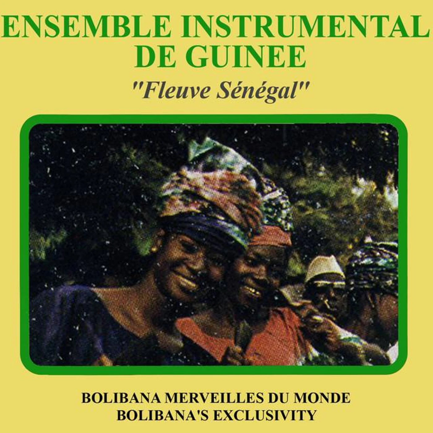 Ensemble instrumental de Guinée