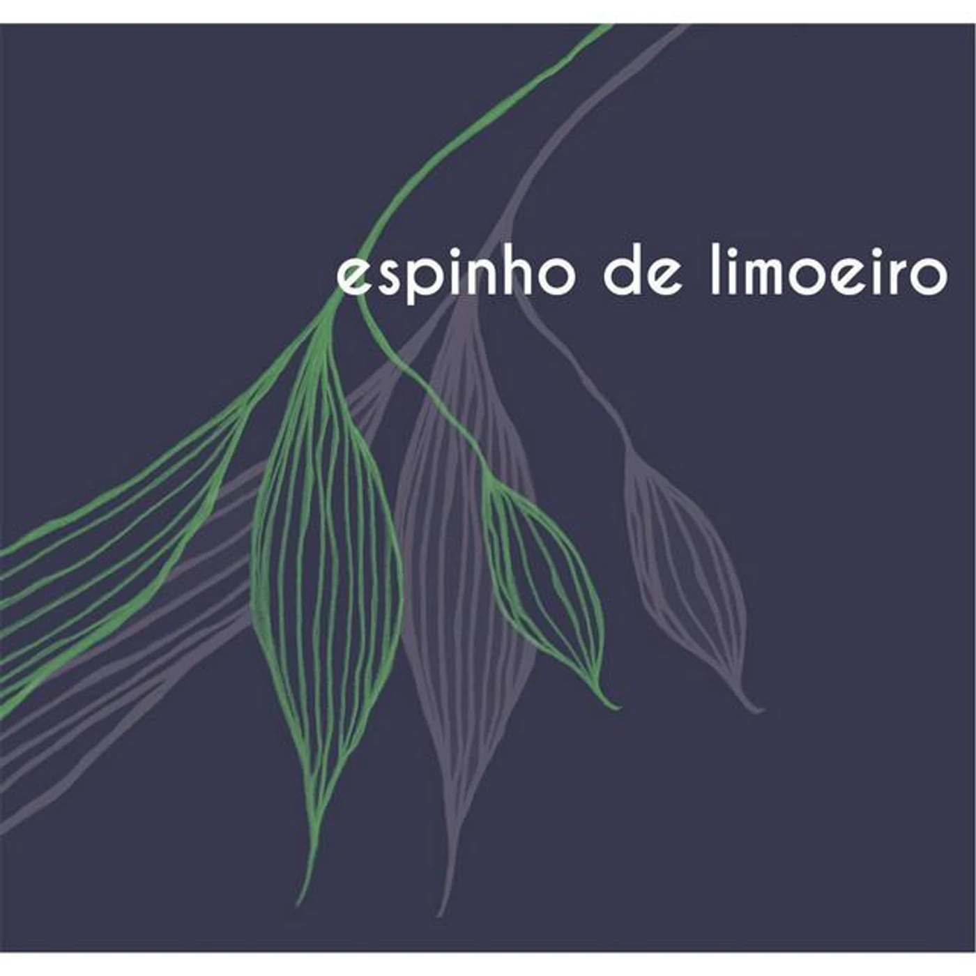 Espinho de Limoeiro