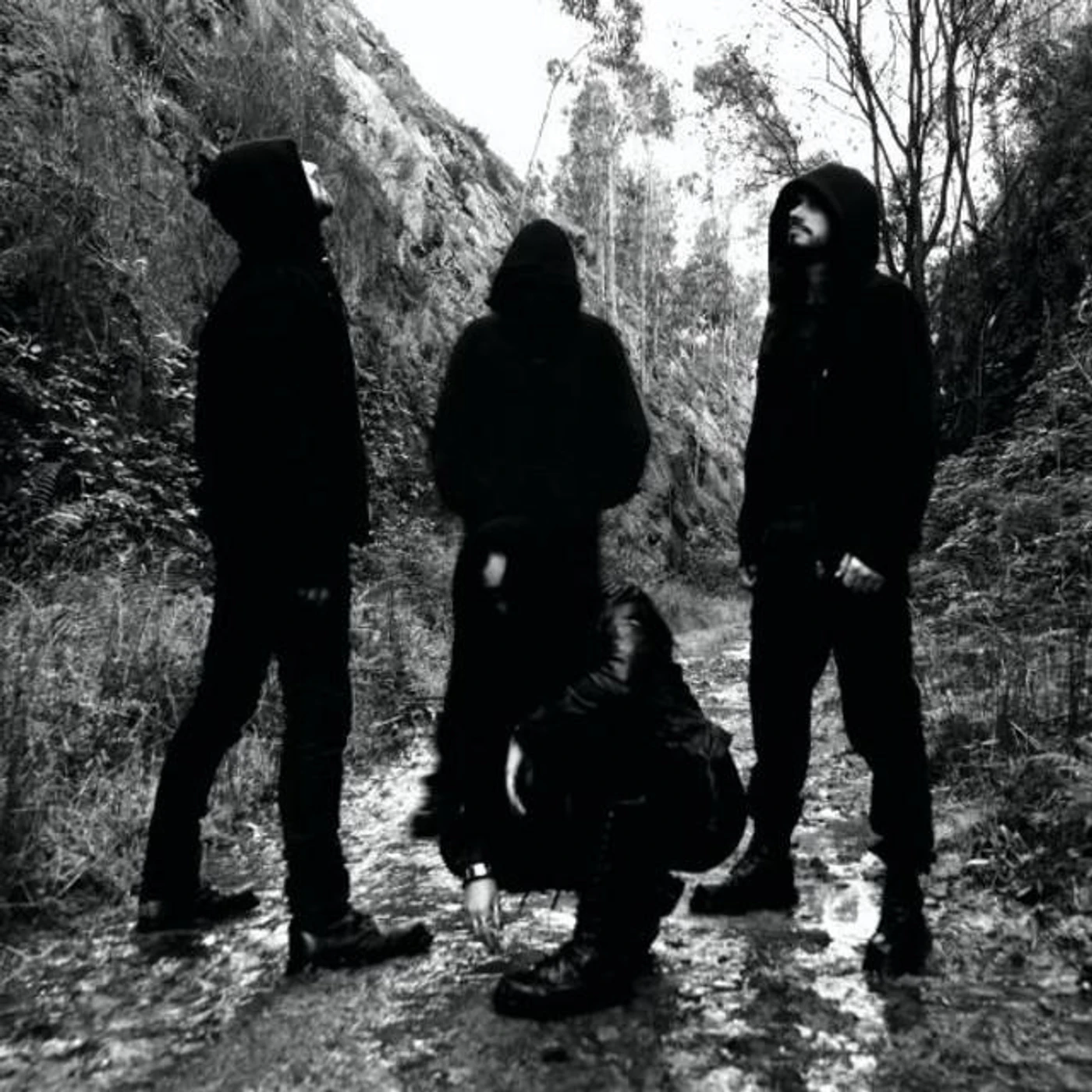 Epping Forest