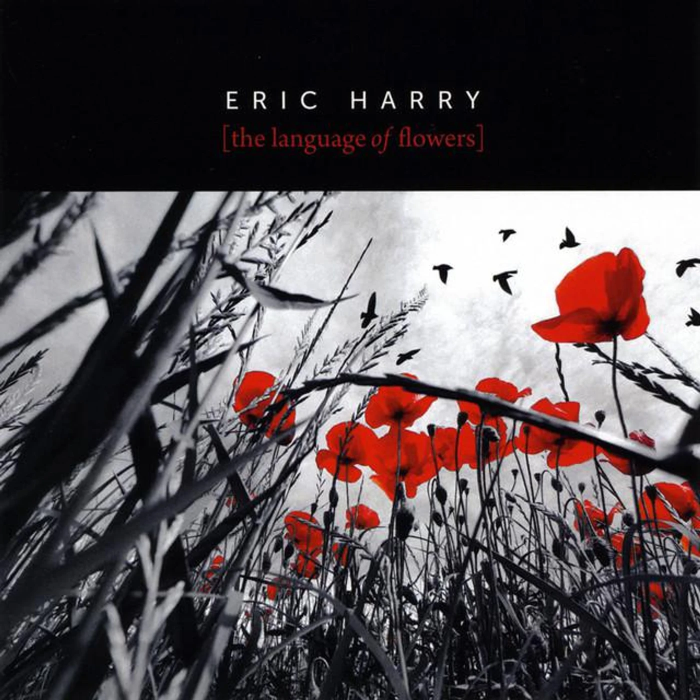 Eric Harry