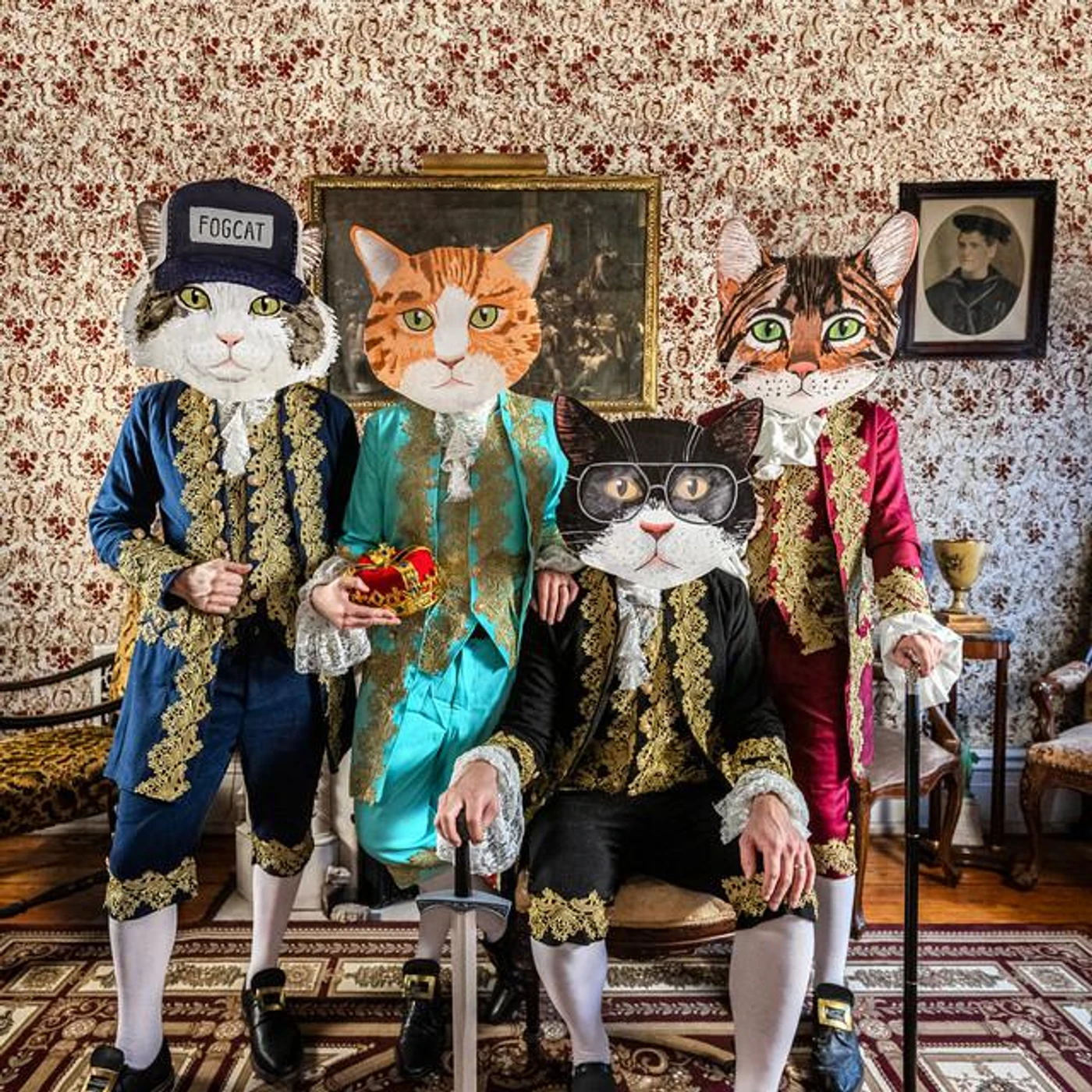 Fantastic Cat