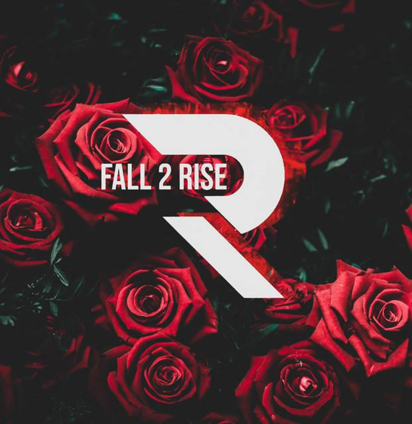 Fall 2 Rise