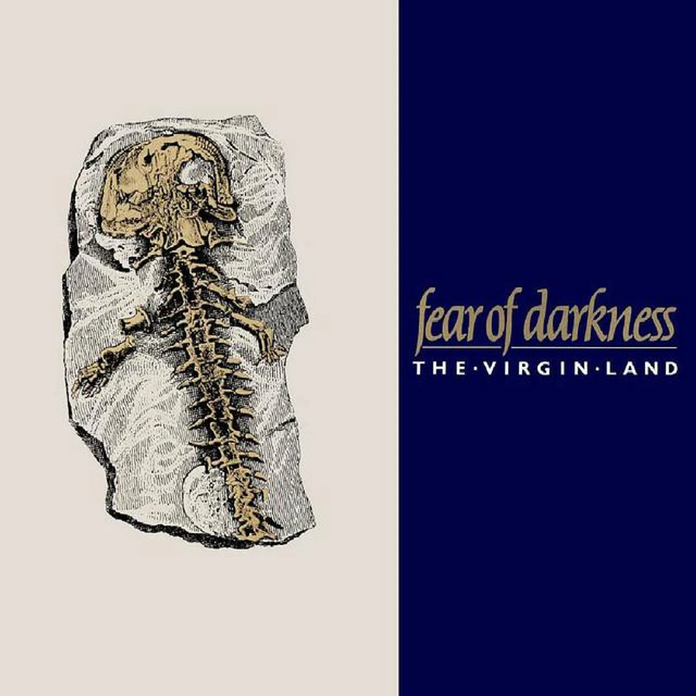 Fear Of Darkness