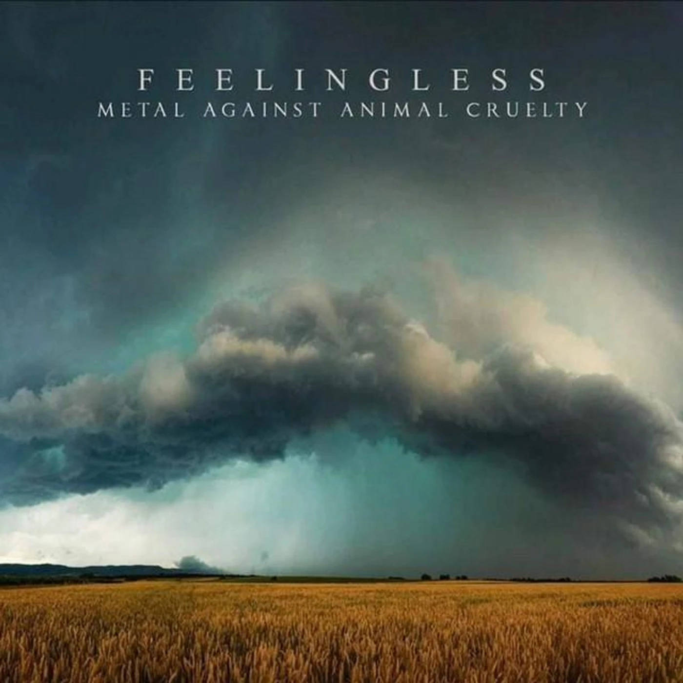 Feelingless