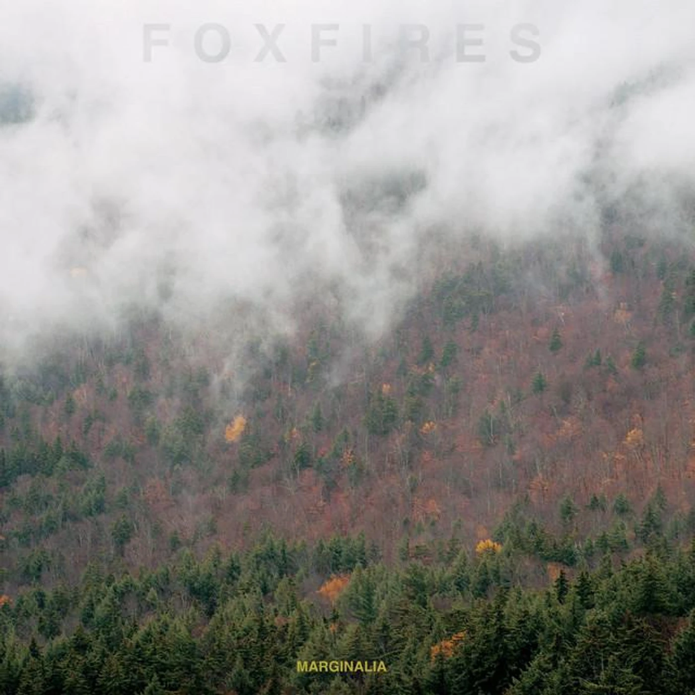 Foxfires