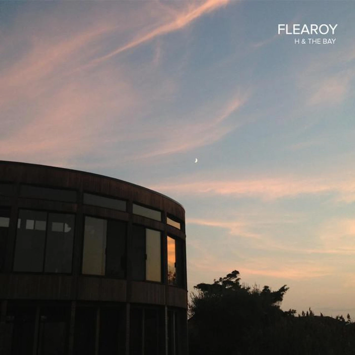 Flearoy