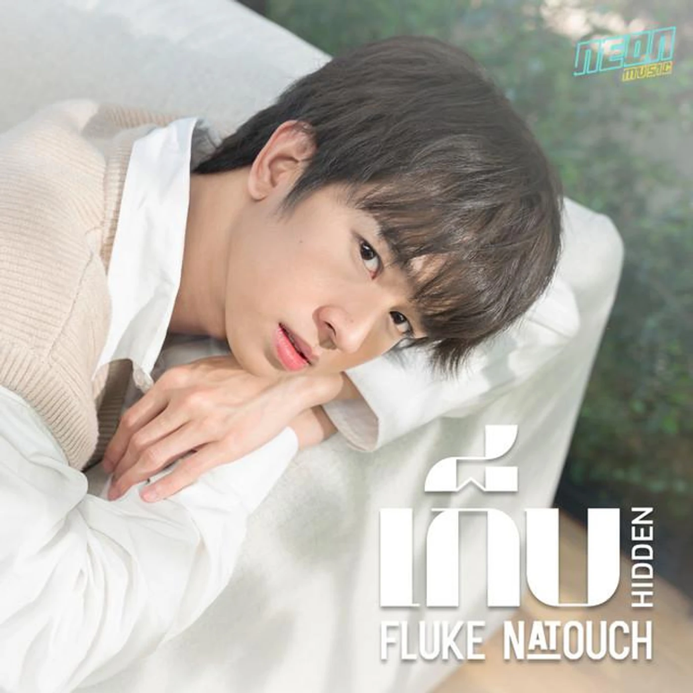 Fluke Natouch