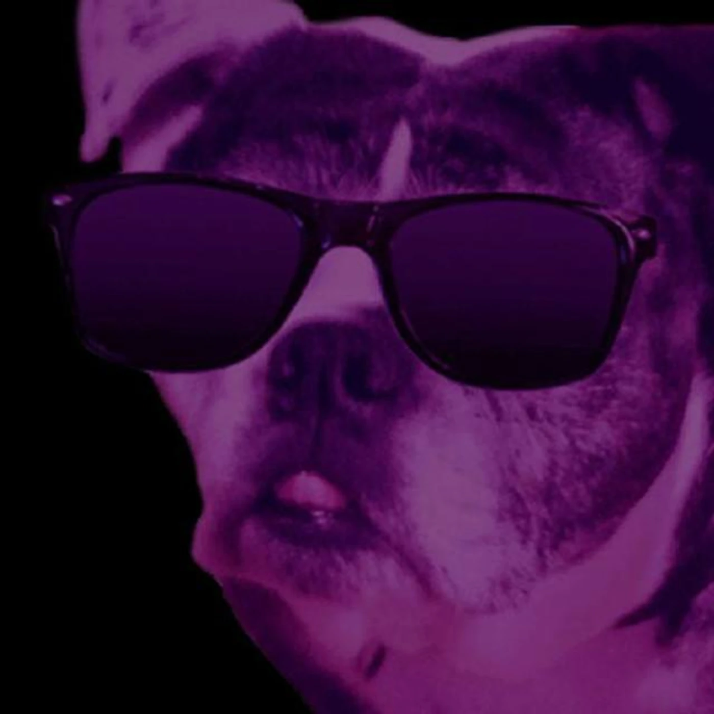 Funknut