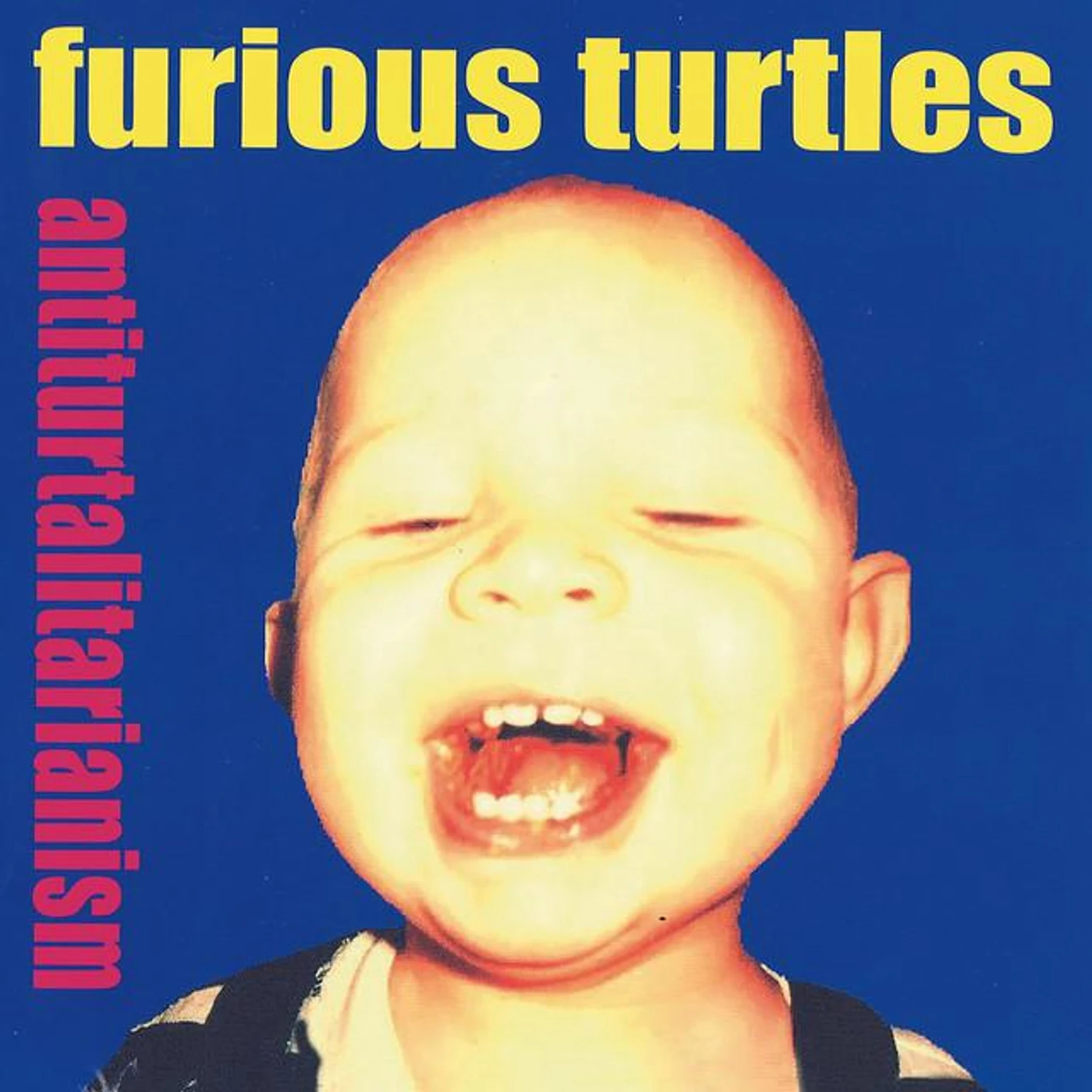 Furious Turtles