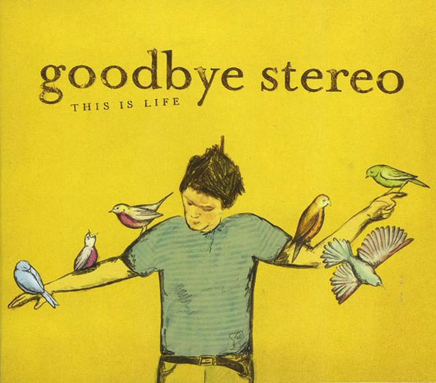 Goodbye Stereo