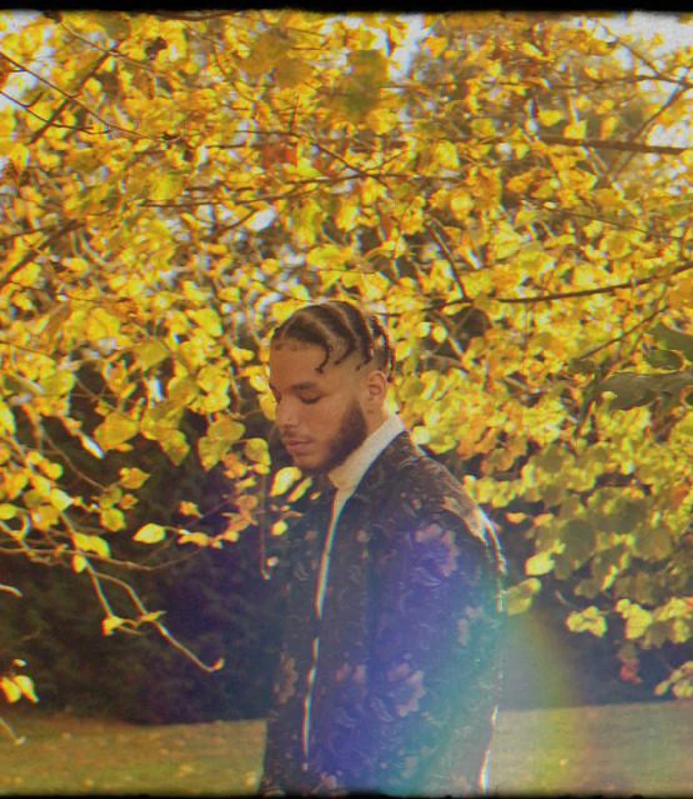 Goldstepz