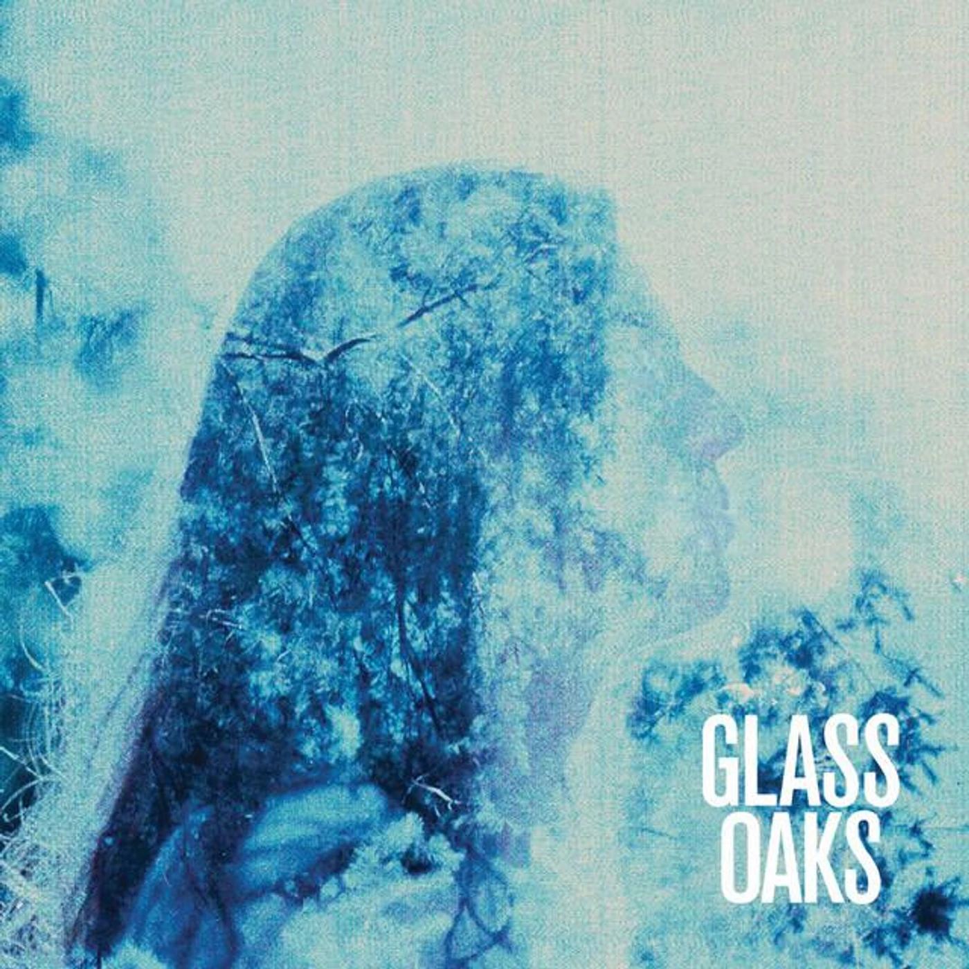 Glass Oaks