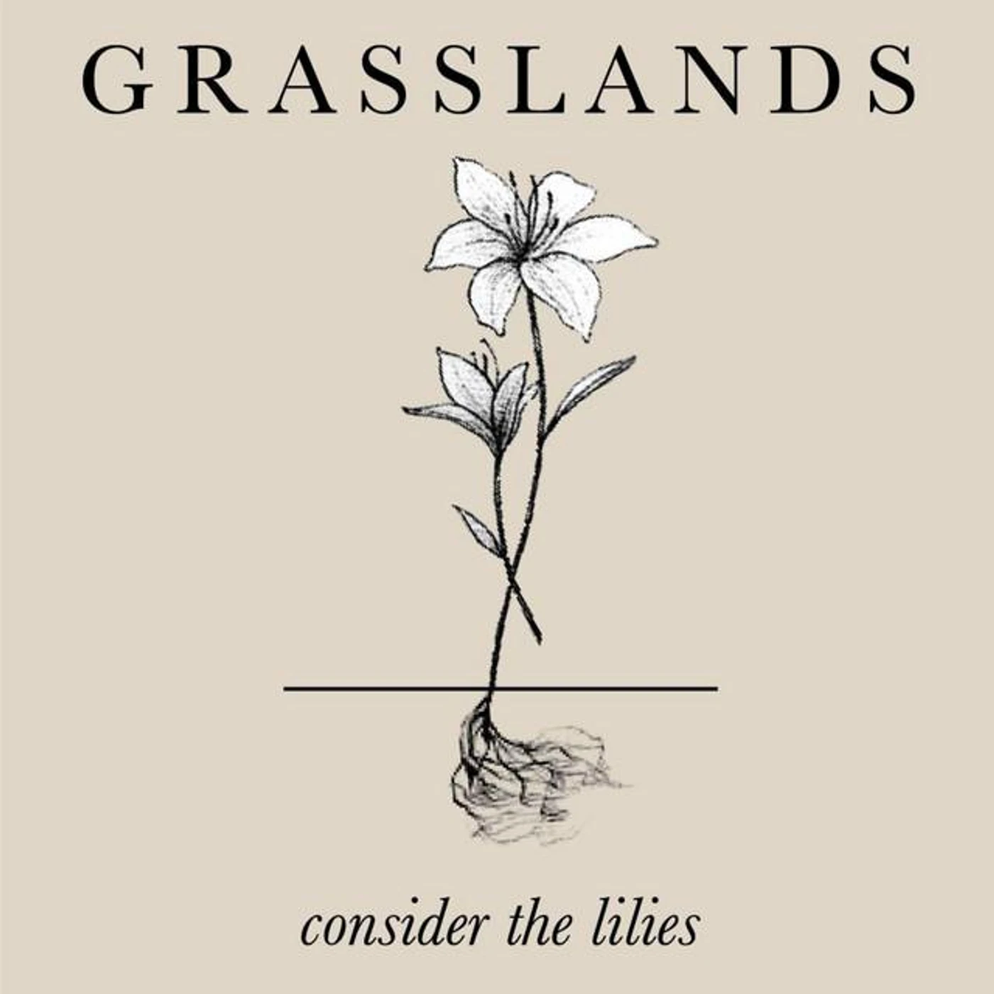 Grasslands