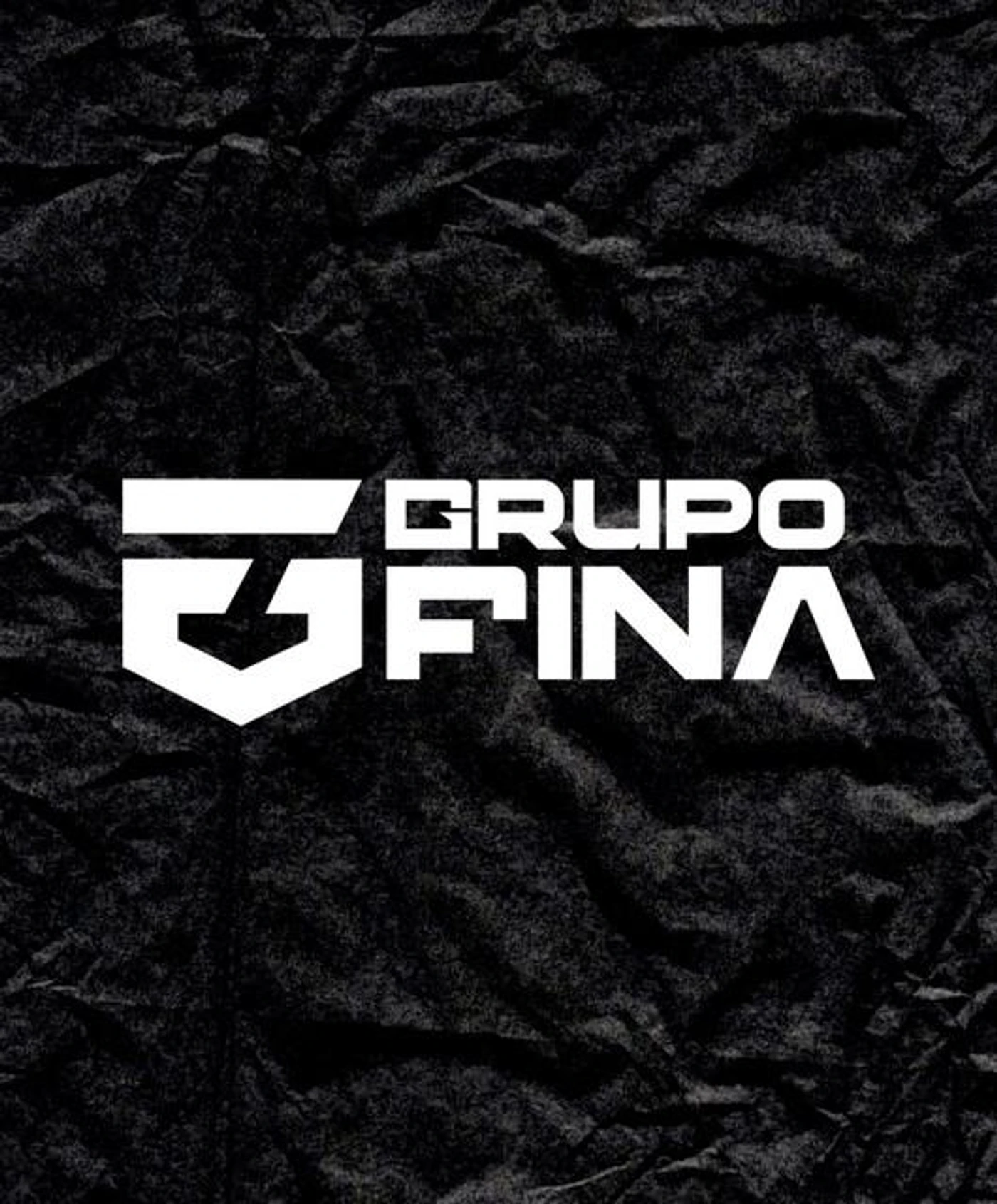 Grupo Fina