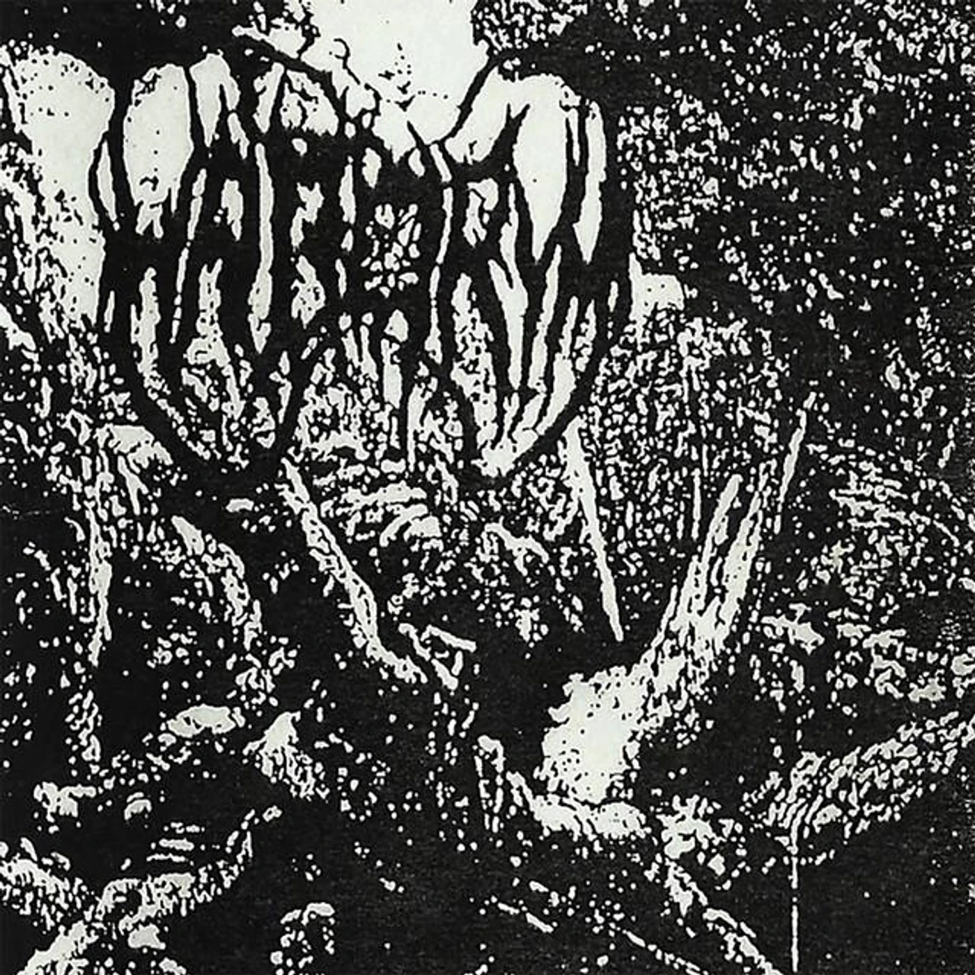 Haborym