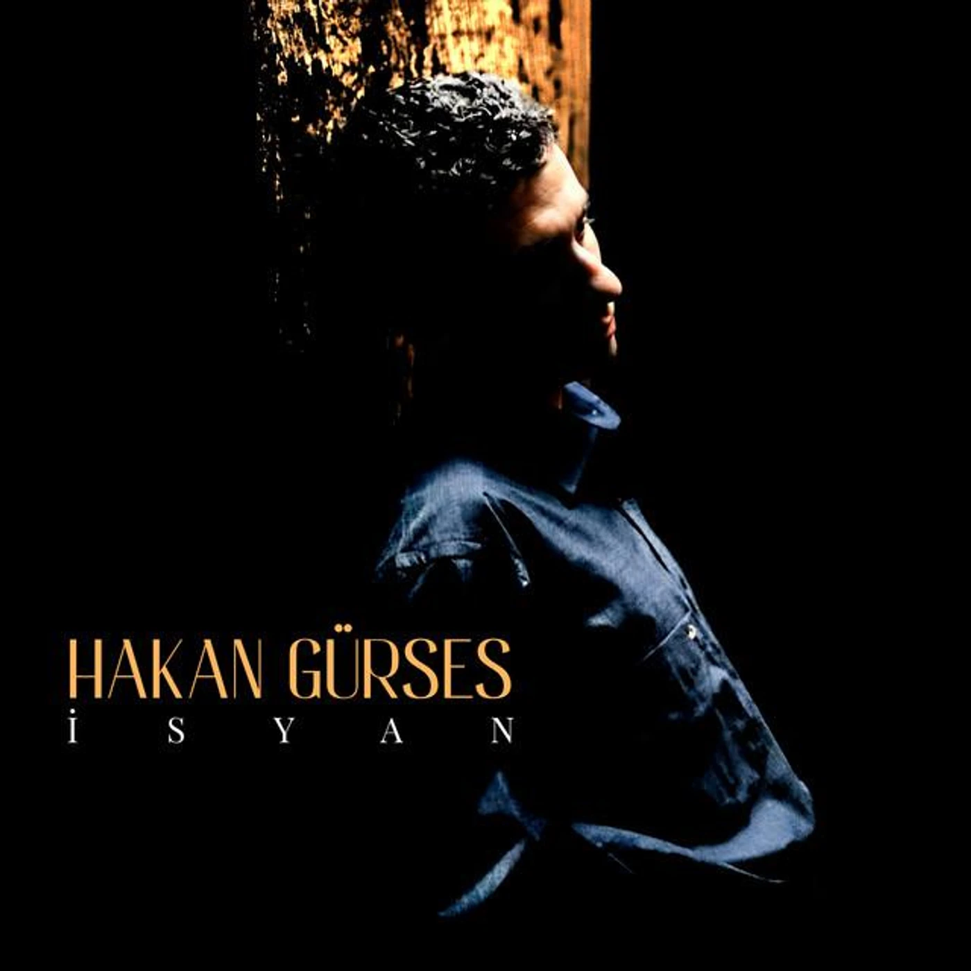 Hakan Gürses