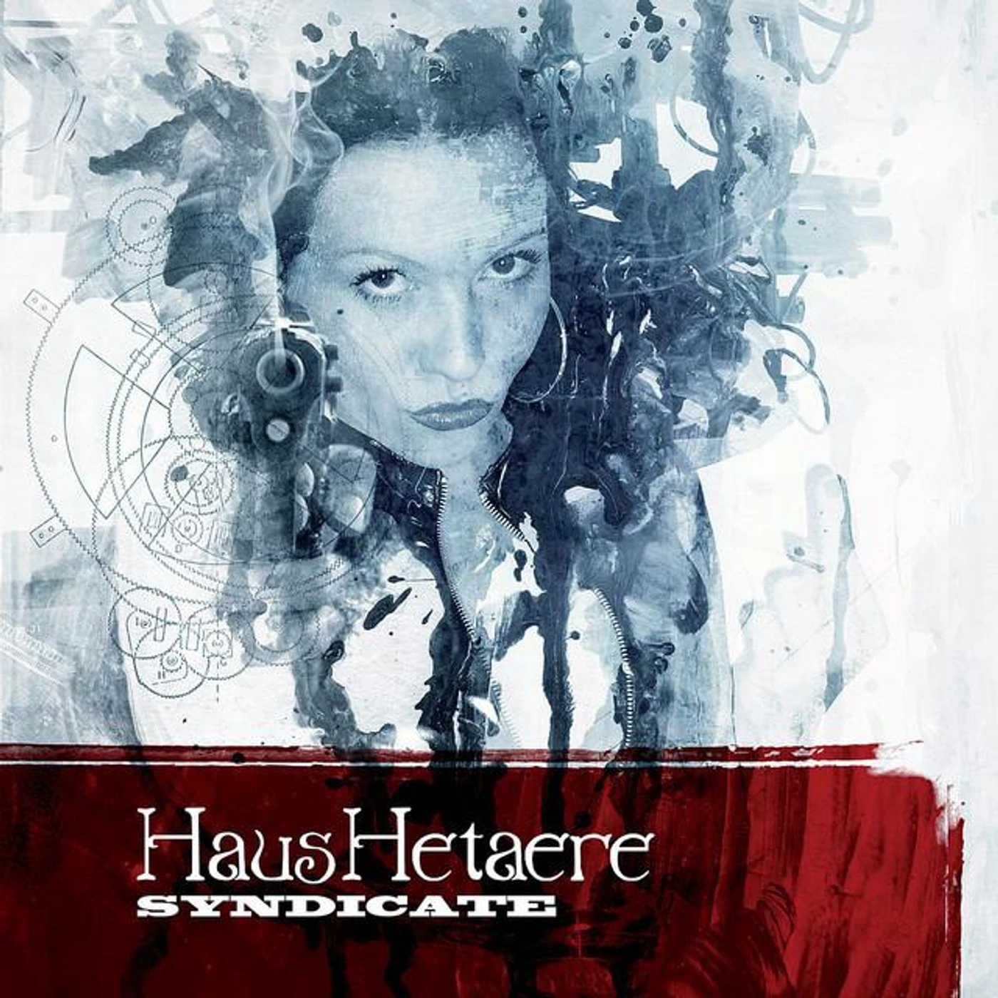 Haushetaere