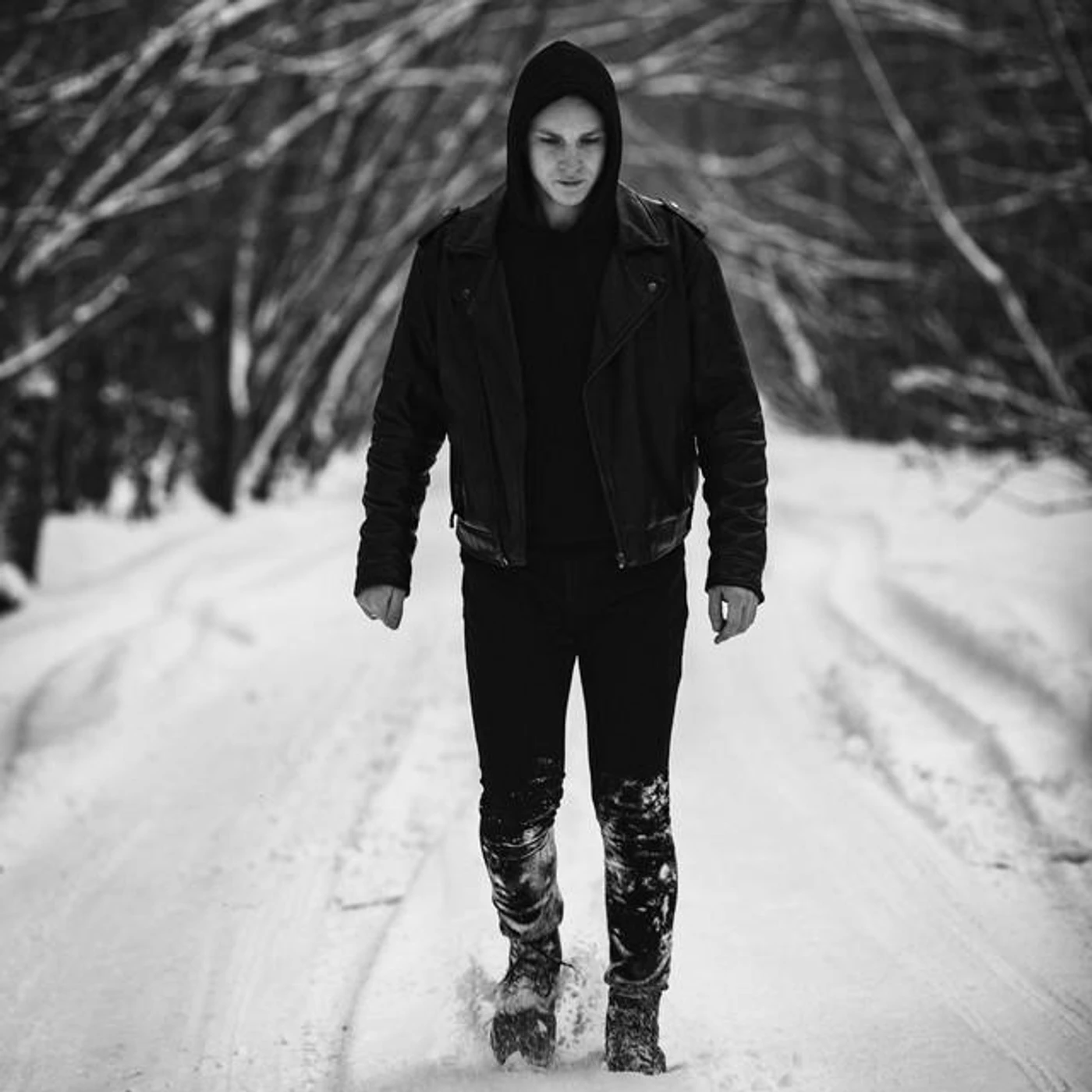 Howling North