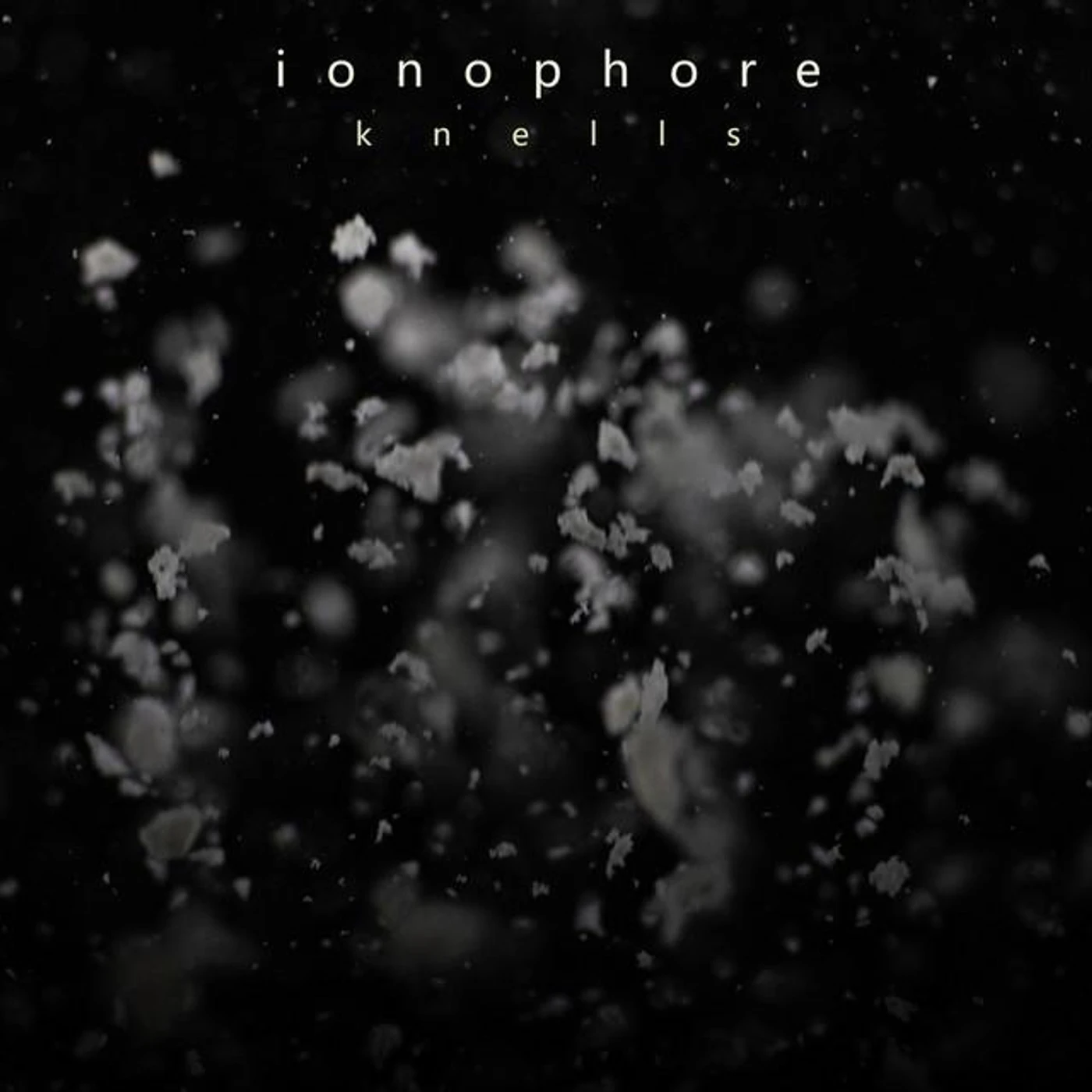 Ionophore