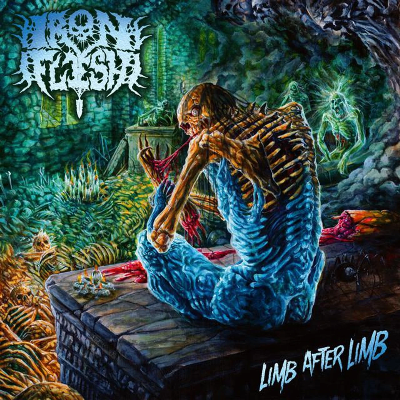 Iron Flesh