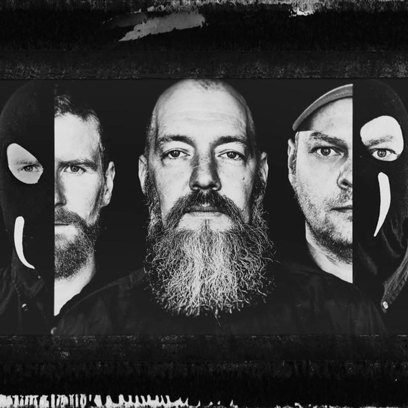 Iron Walrus