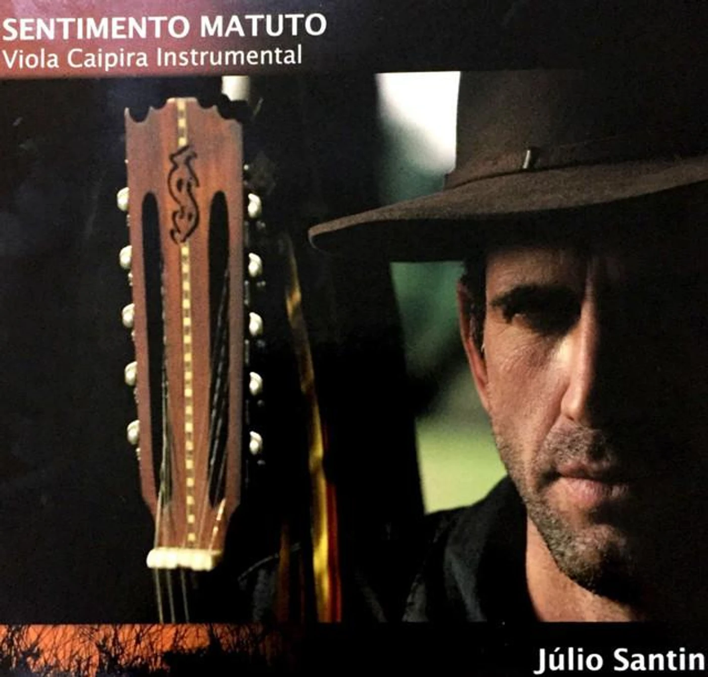 Júlio Santin