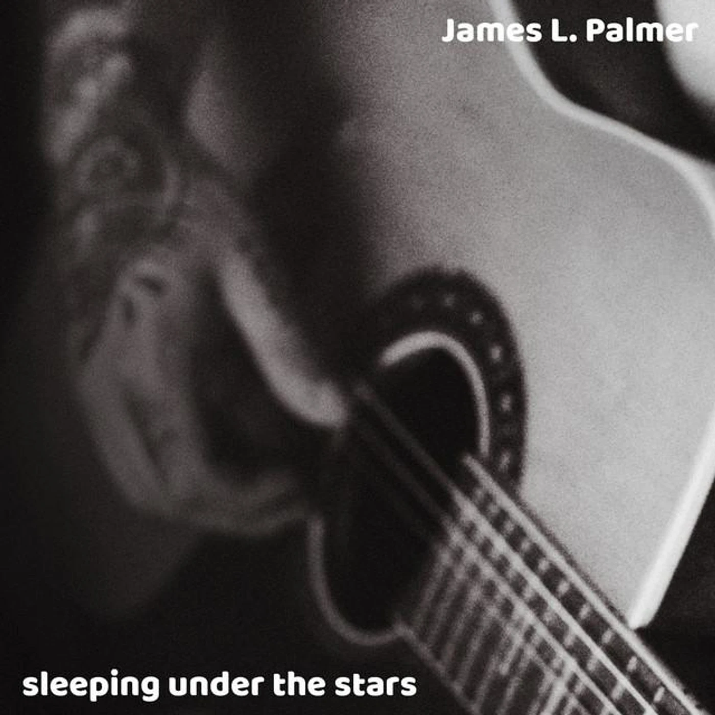 James L. Palmer