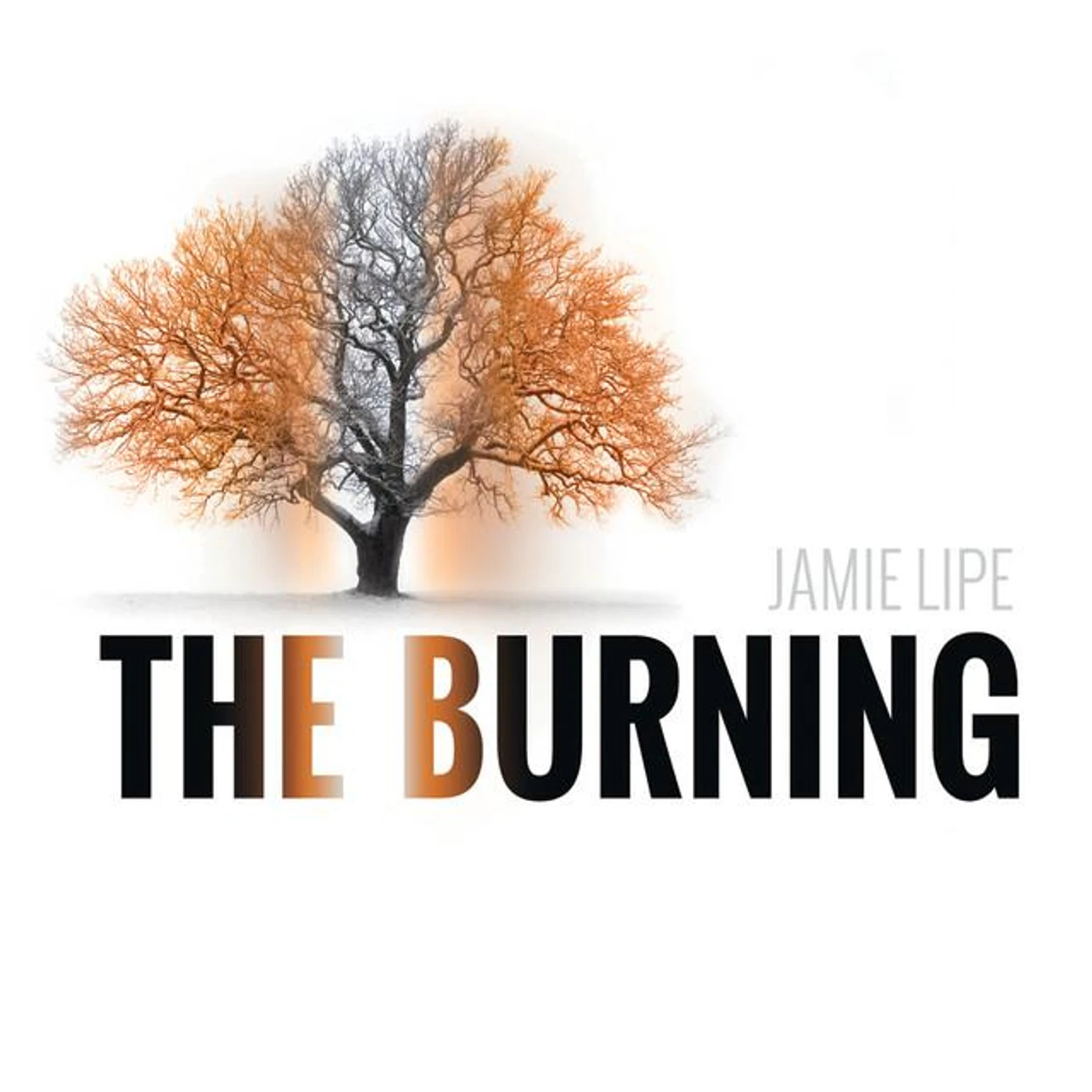 Jamie Lipe