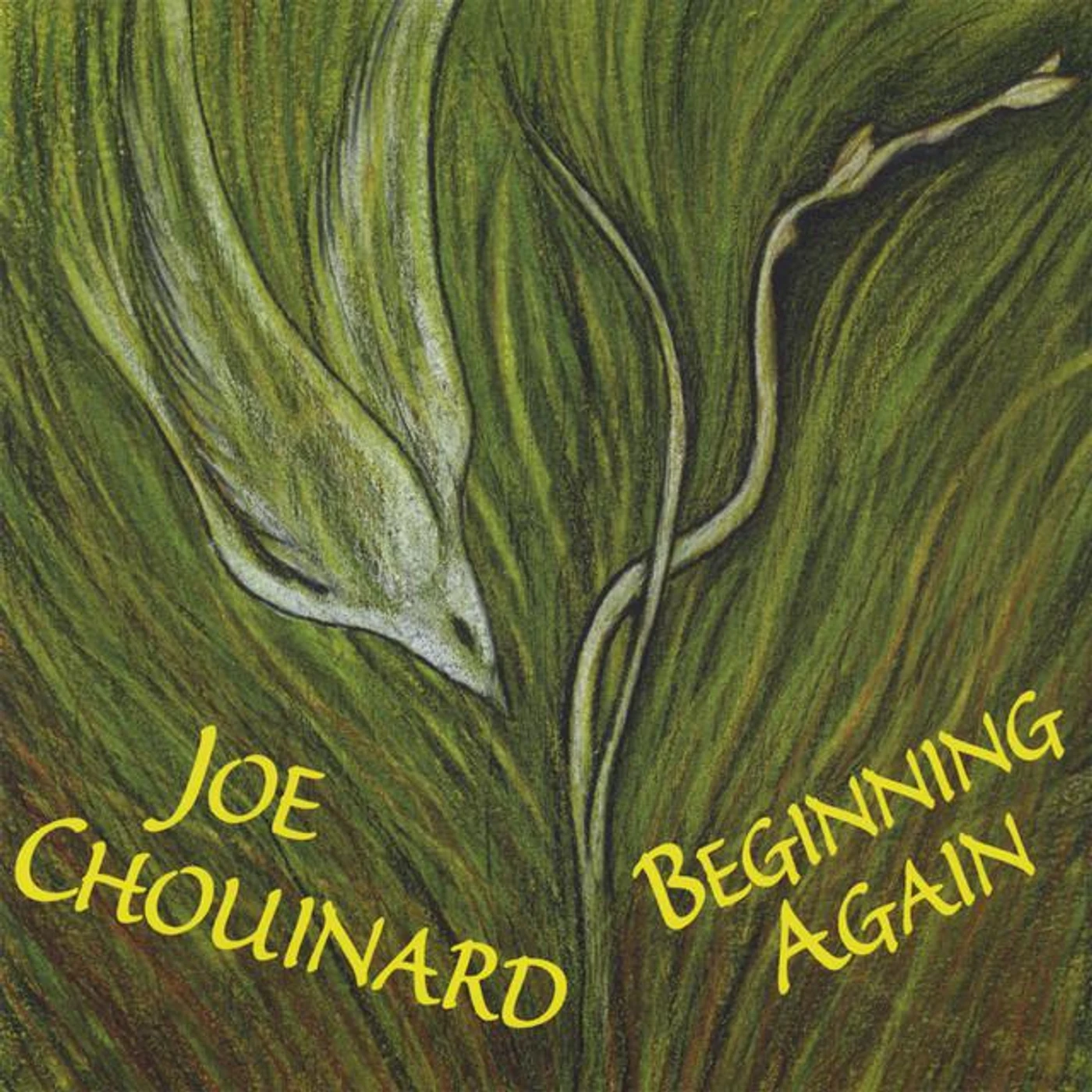Joe Chouinard
