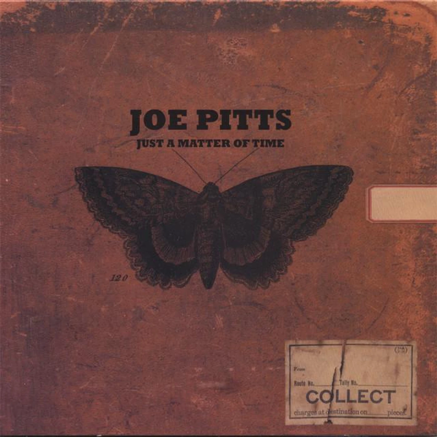Joe Pitts