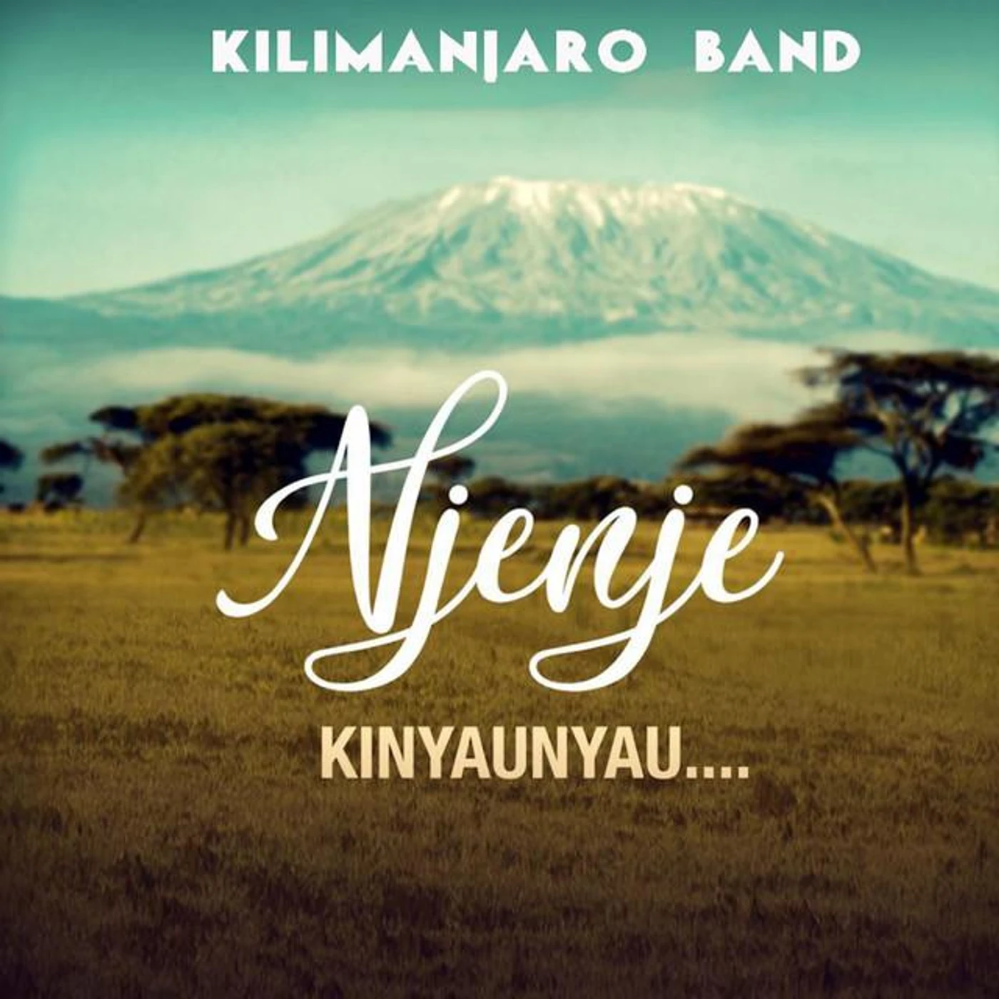 Kilimanjaro Band