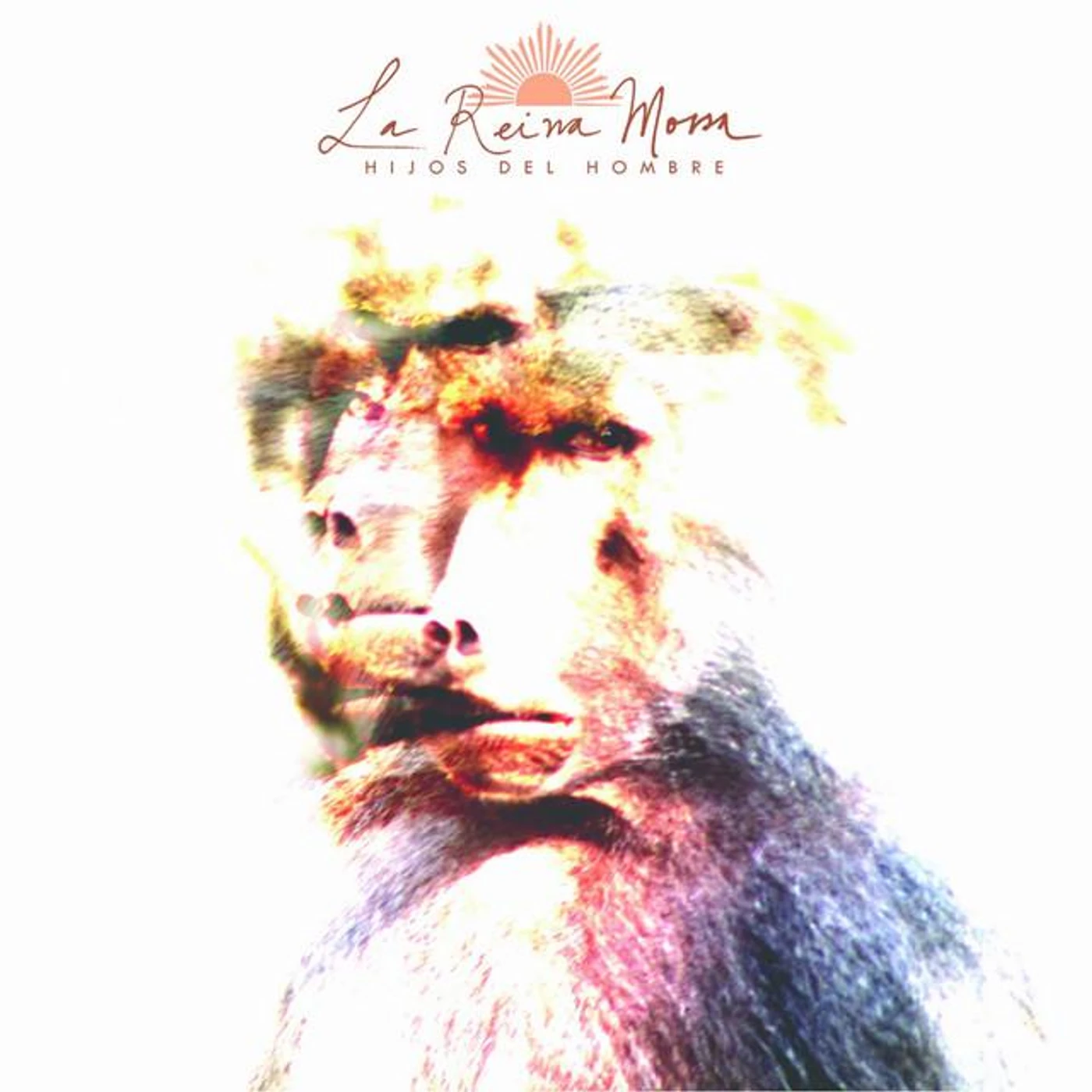 La Reina Morsa