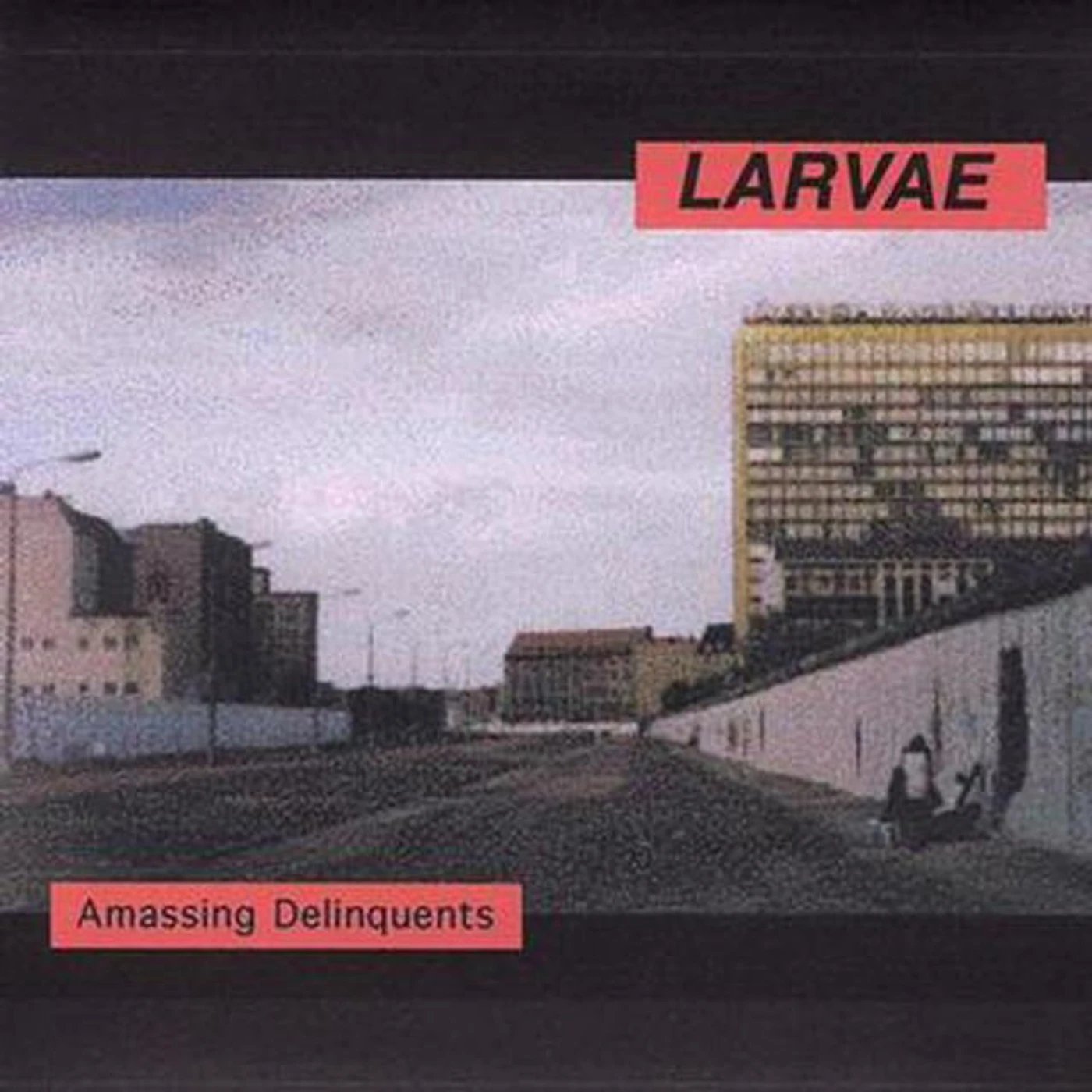 Larvae