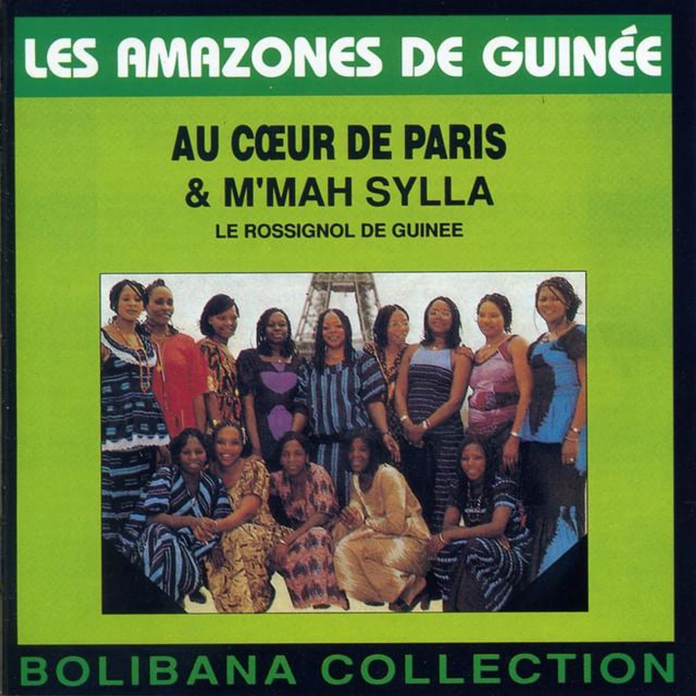 Les Amazones de Guinée