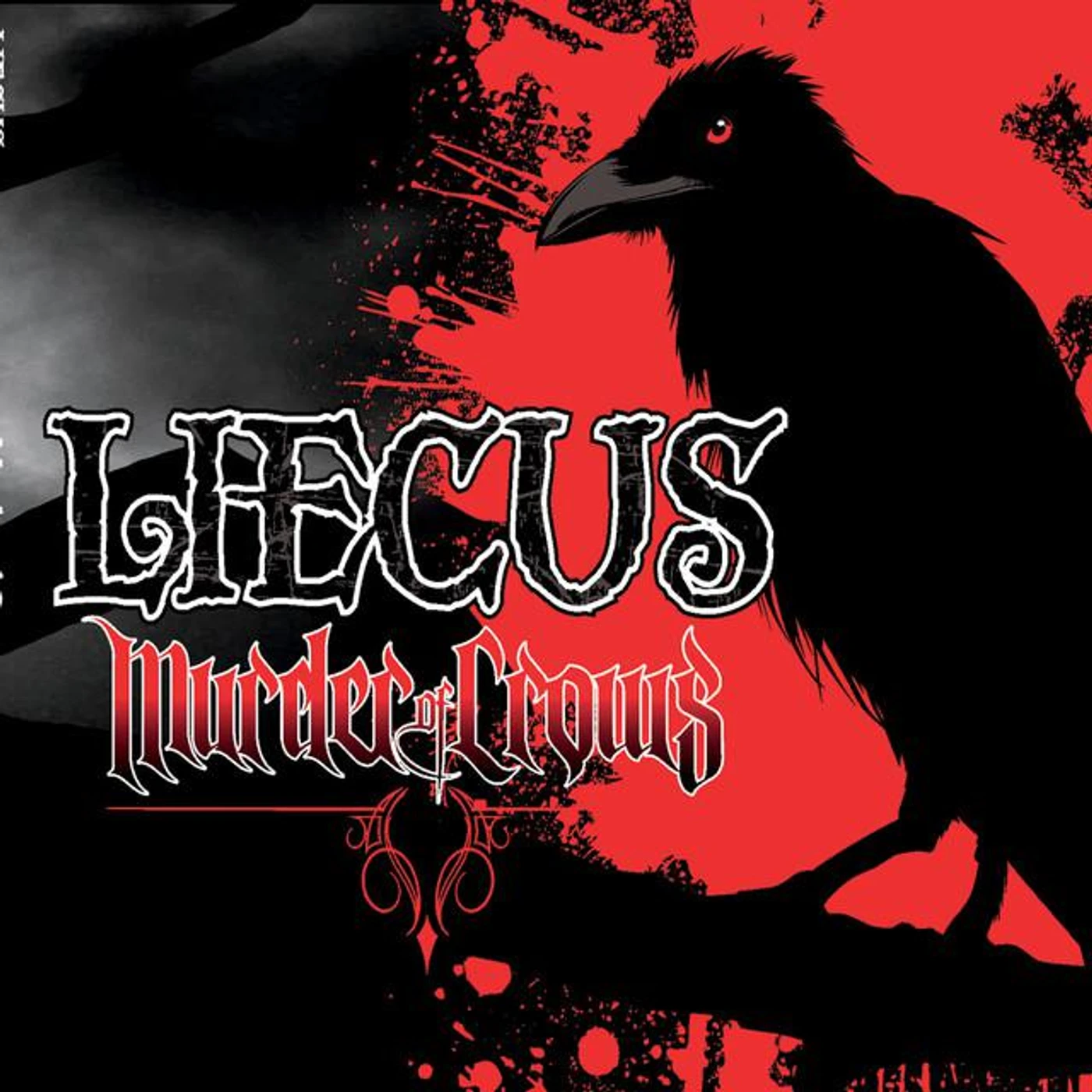 Liecus