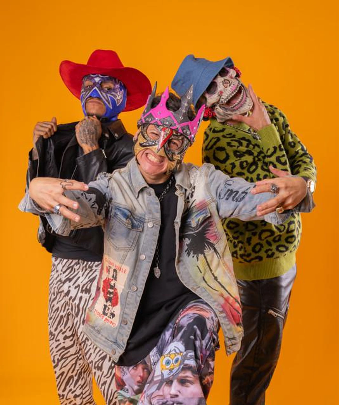 Los Chinchillos Del Caribe