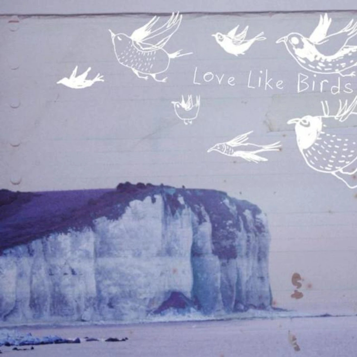 Love Like Birds